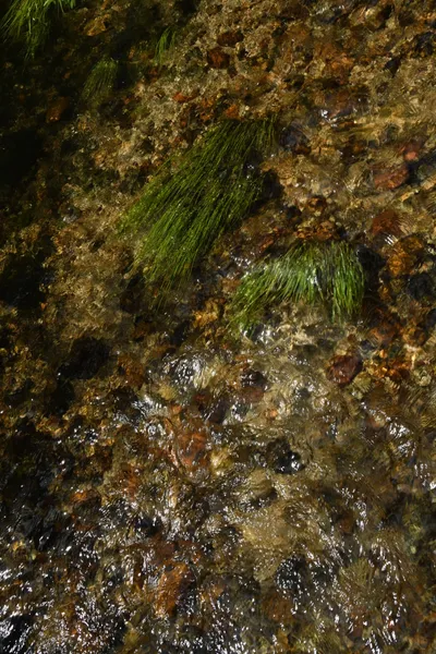 DSC_4393 (Large).JPG